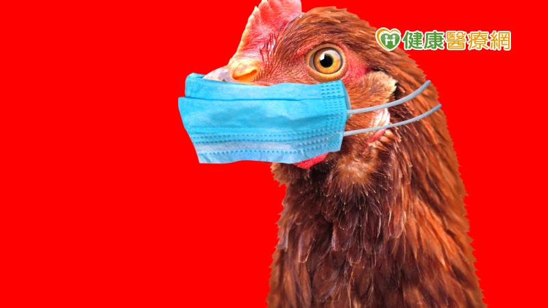 新型A型流感　中國、寮國出現本季首2例
