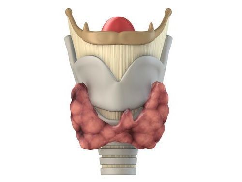 降低喉返神经的损伤与并发症的发生