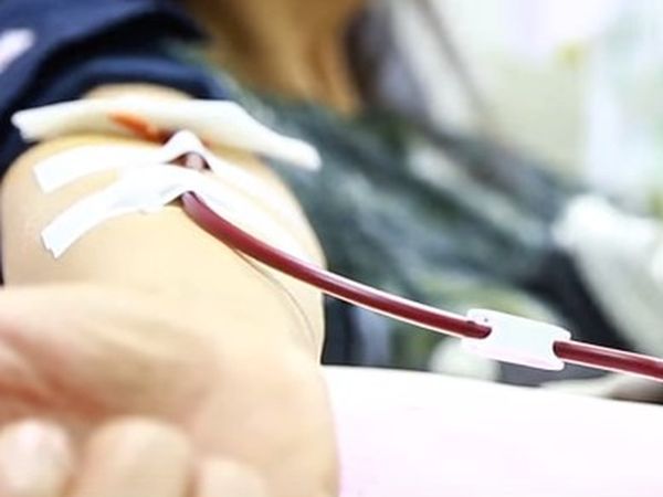 白血球抗體篩檢　捐血男女有差別-醫師